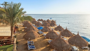Una platja amb sombrerets de palla i gandules, una palmera, i vista al mar.