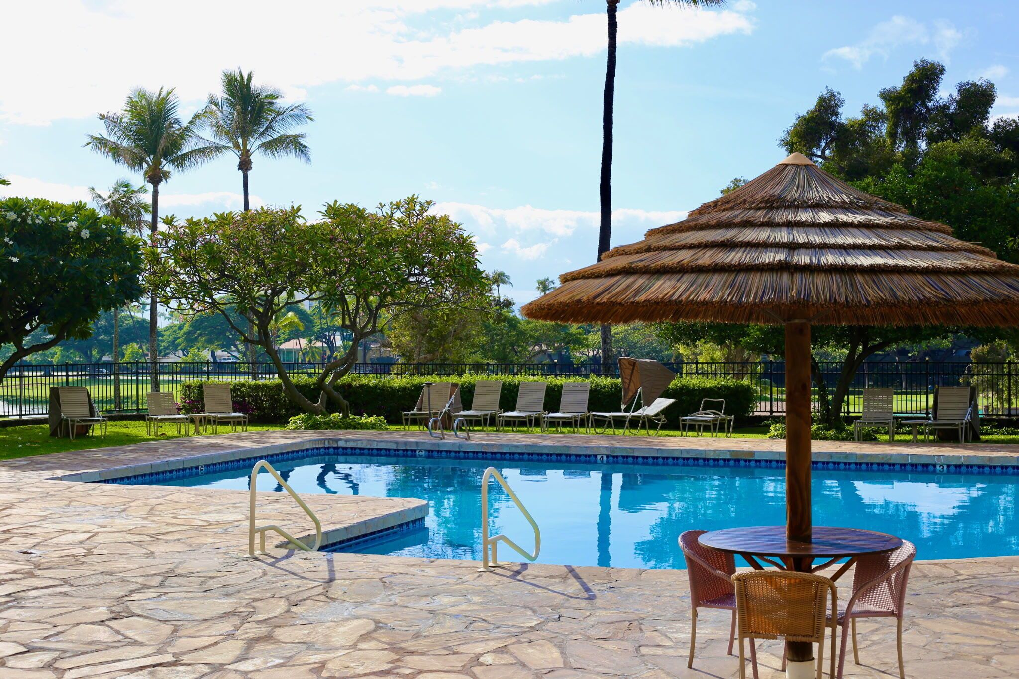 Piscina a l'aire lliure i piscina climatitzada 