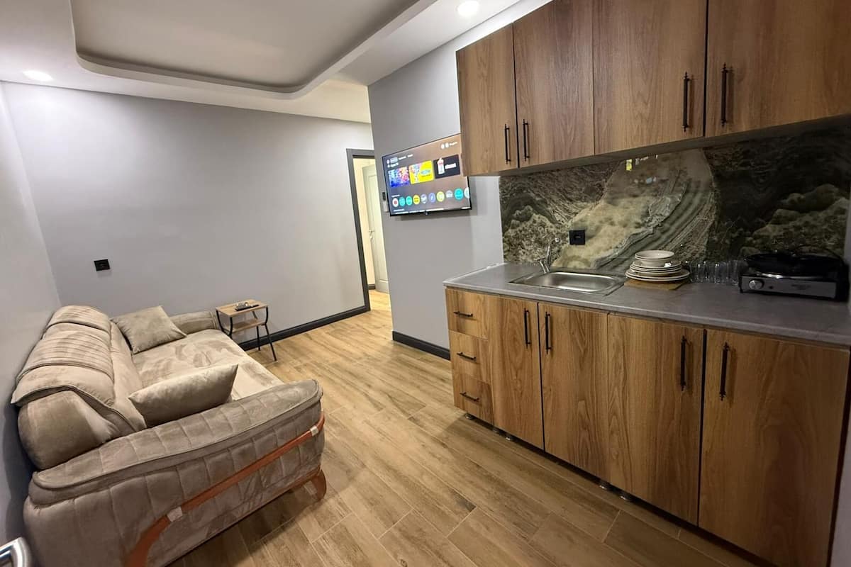 Family Room, City View | Private kitchen | Fridge, electric kettle