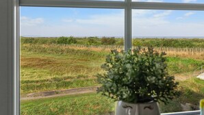 A view through a window with a plant in the foreground, a grassy field, and a clear sky. - "Alitta" - 240m from the sea by Interhome (Bogense)