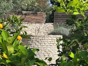 Property grounds - LA BERGERIE BONIFACIO (Bonifacio)