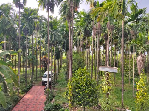 Silent river homestay - Budget friendly Stay