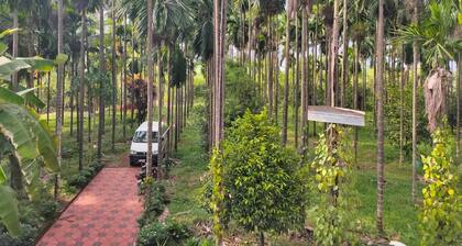 Silent river homestay - Budget friendly Stay