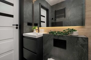 Ducha, secador de pelo y toallas