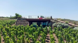 Exterior - Tenuta di Castellaro Winery & Resort (Quattropani)