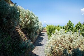Exterior - Tenuta di Castellaro Winery & Resort (Quattropani)