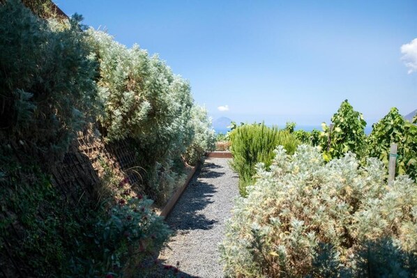 Exterior - Tenuta di Castellaro Winery & Resort (Quattropani)