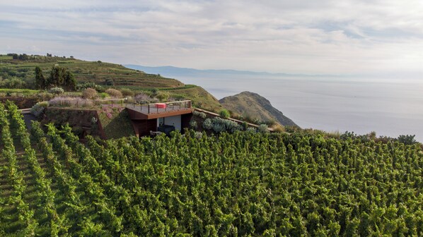 Exterior - Tenuta di Castellaro Winery & Resort (Quattropani)