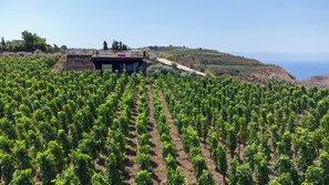 Exterior - Tenuta di Castellaro Winery & Resort (Quattropani)