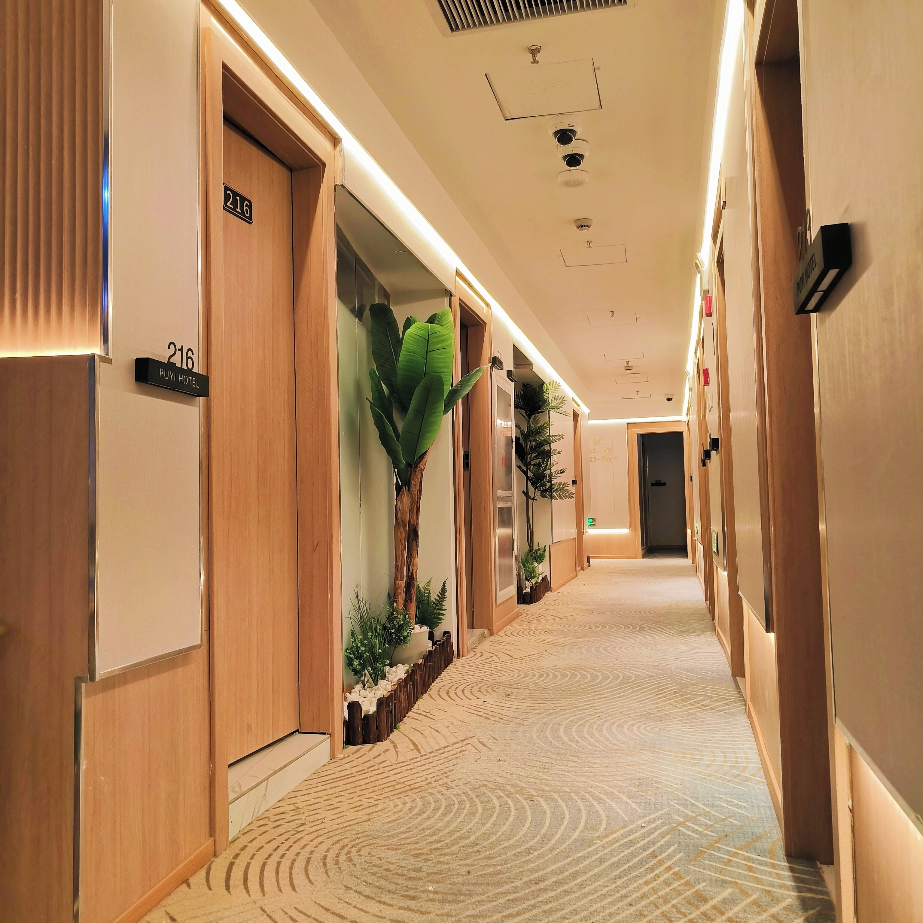 A hotel corridor with wooden doors, numbered room signs, and a patterned carpet.