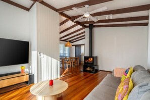 TV, fireplace