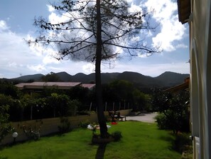 Área da propriedade