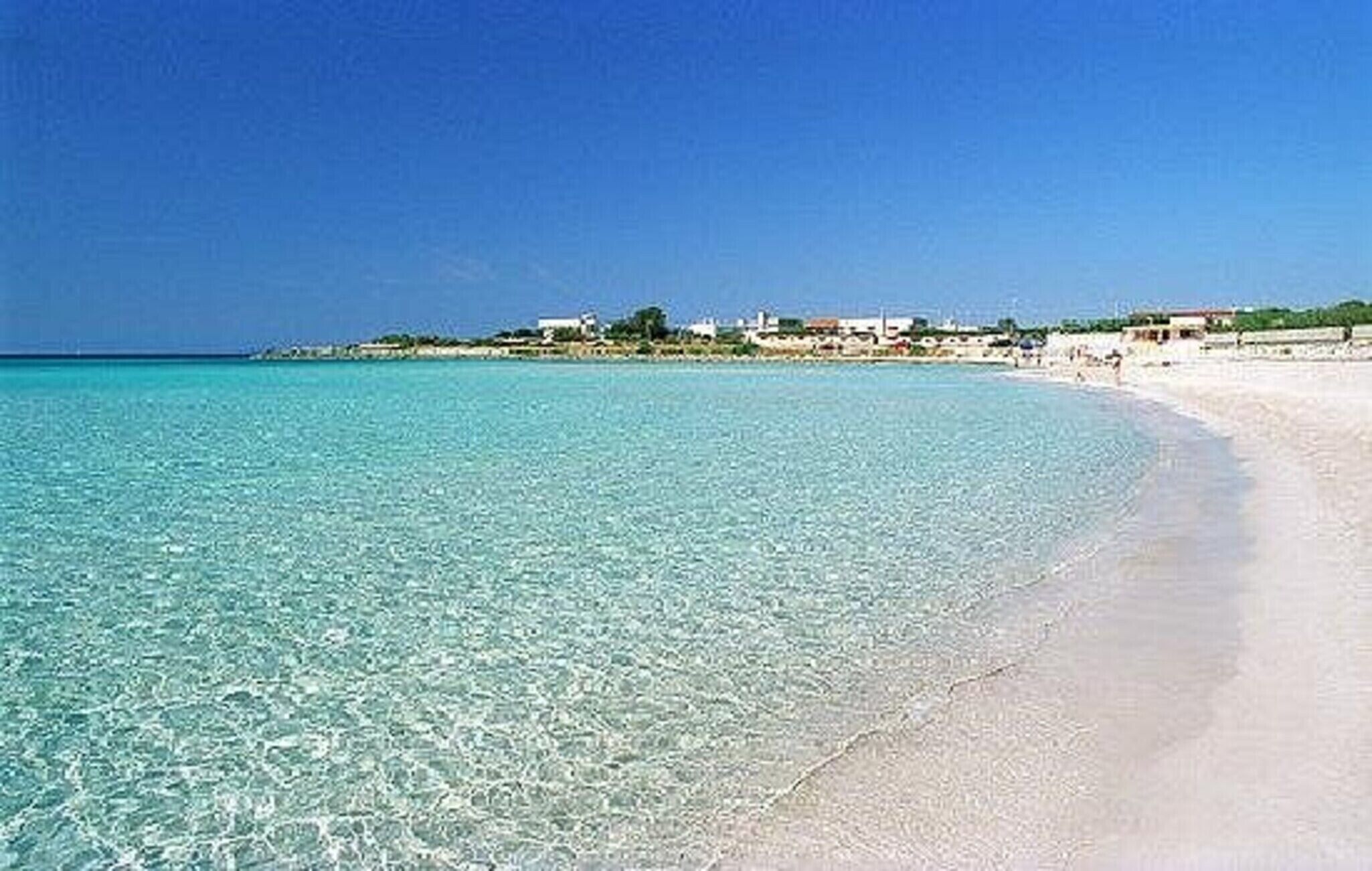 在海灘附近