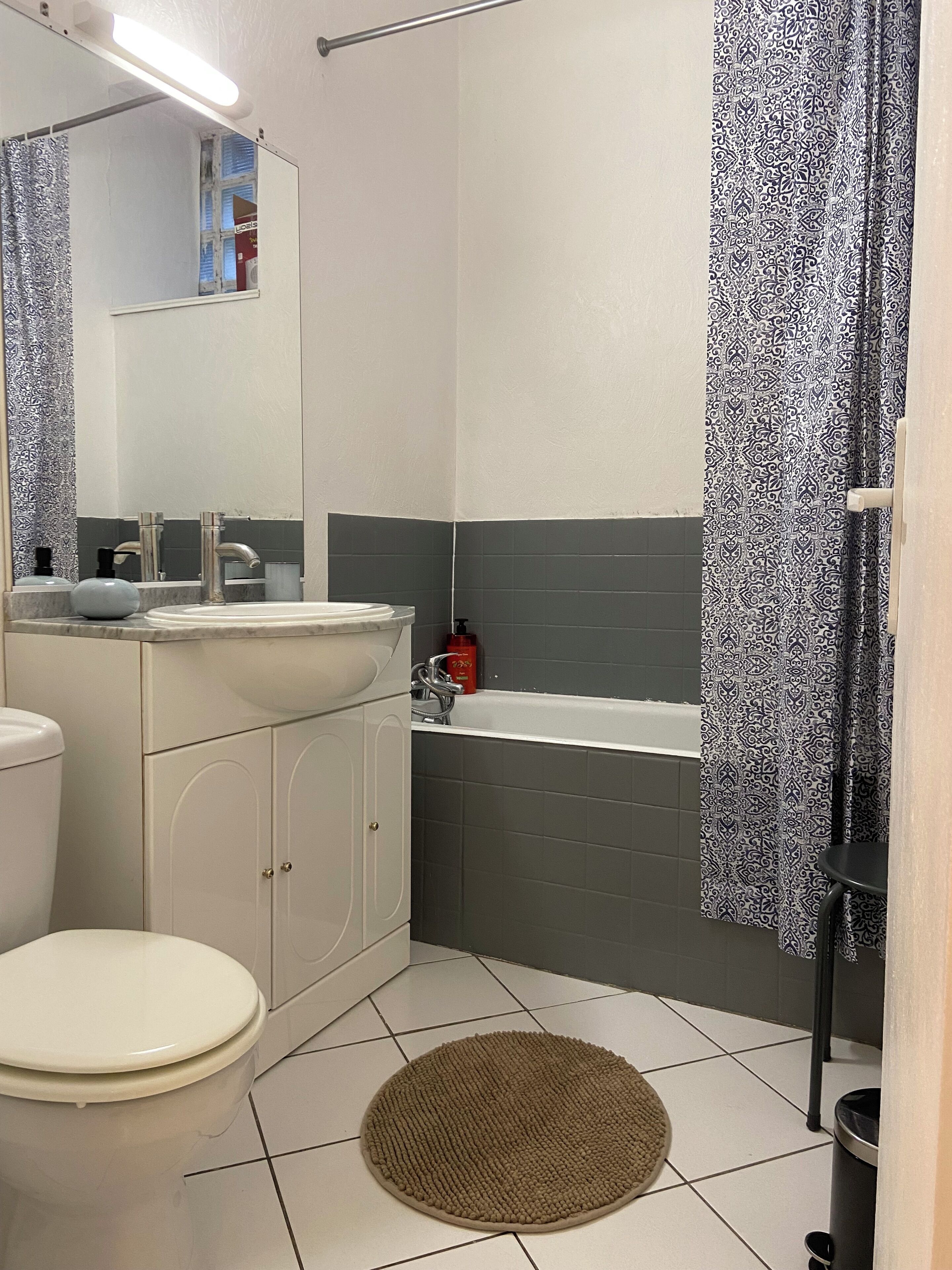 Hair dryer, towels, soap, toilet paper