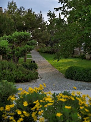 Áreas de la propiedad