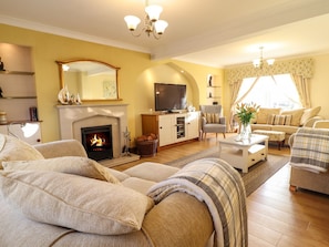 Fireplace - Llwyn Derw (Talybont)