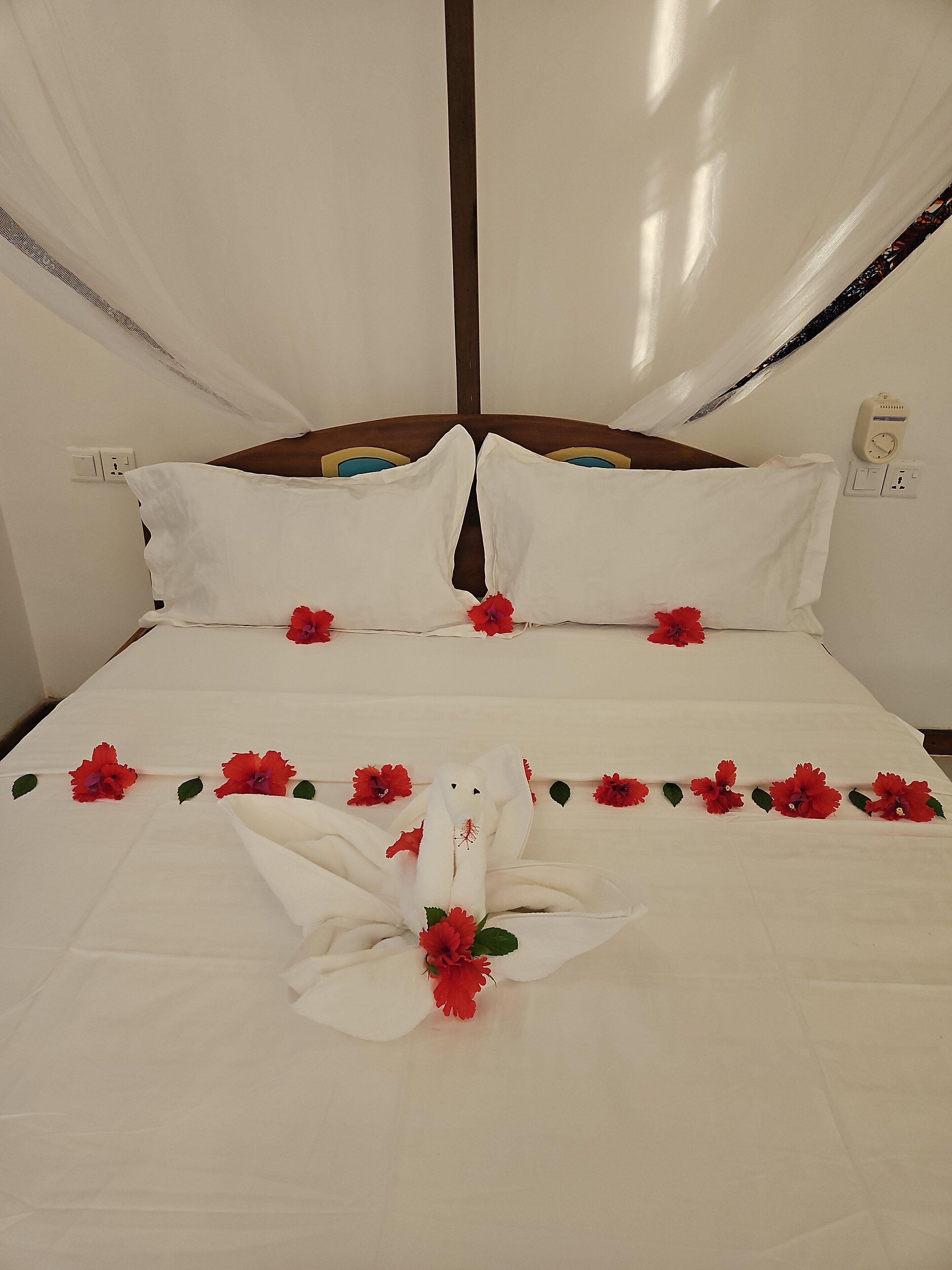 Cofres nos quartos, ferros/tábuas de passar roupa, Wi-Fi de cortesia