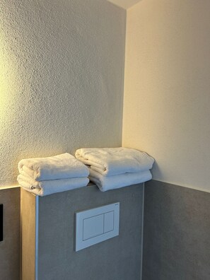 Shower, hair dryer, towels, soap - Lindenhof (Siegsdorf)