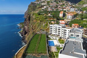 A coastal town with terraced vineyards, modern buildings, and a clear view of the ocean. - Isabel Place (Câmara de Lobos)