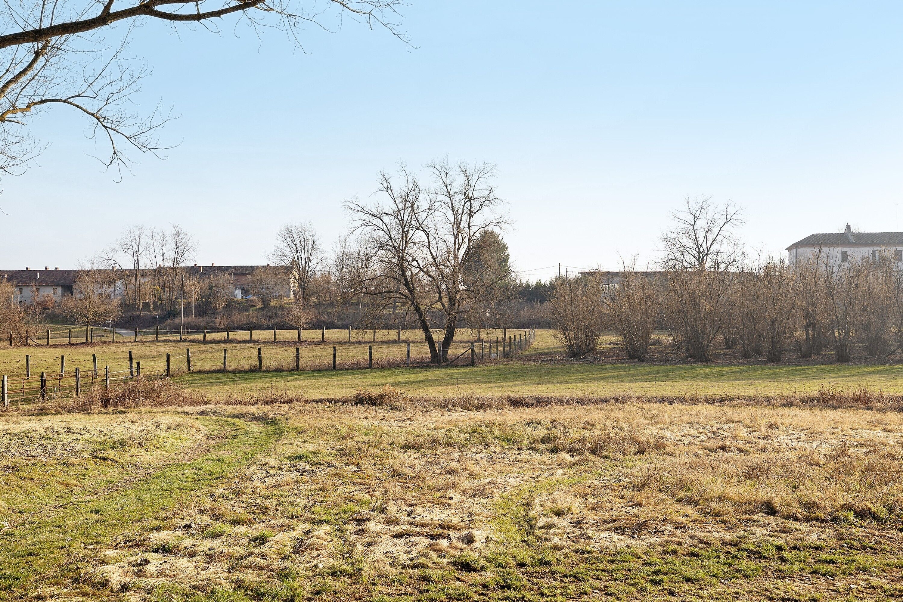 A rural landscape with a fenced field, leafless trees, and a white building in the background.