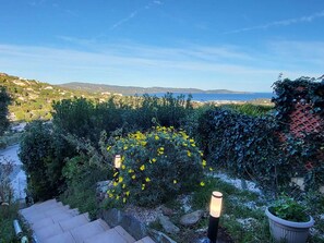 Property grounds - Peaceful studio with pool in Cavalaire (Cavalaire-sur-Mer)