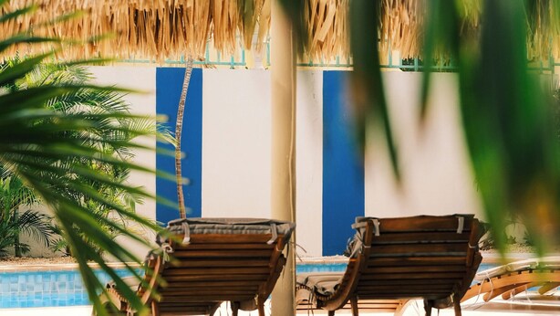 A poolside area with two wooden lounge chairs under a thatched roof, a palm tree, and a blue and white wall. - 4 Persons - Apartment (Willemstad)