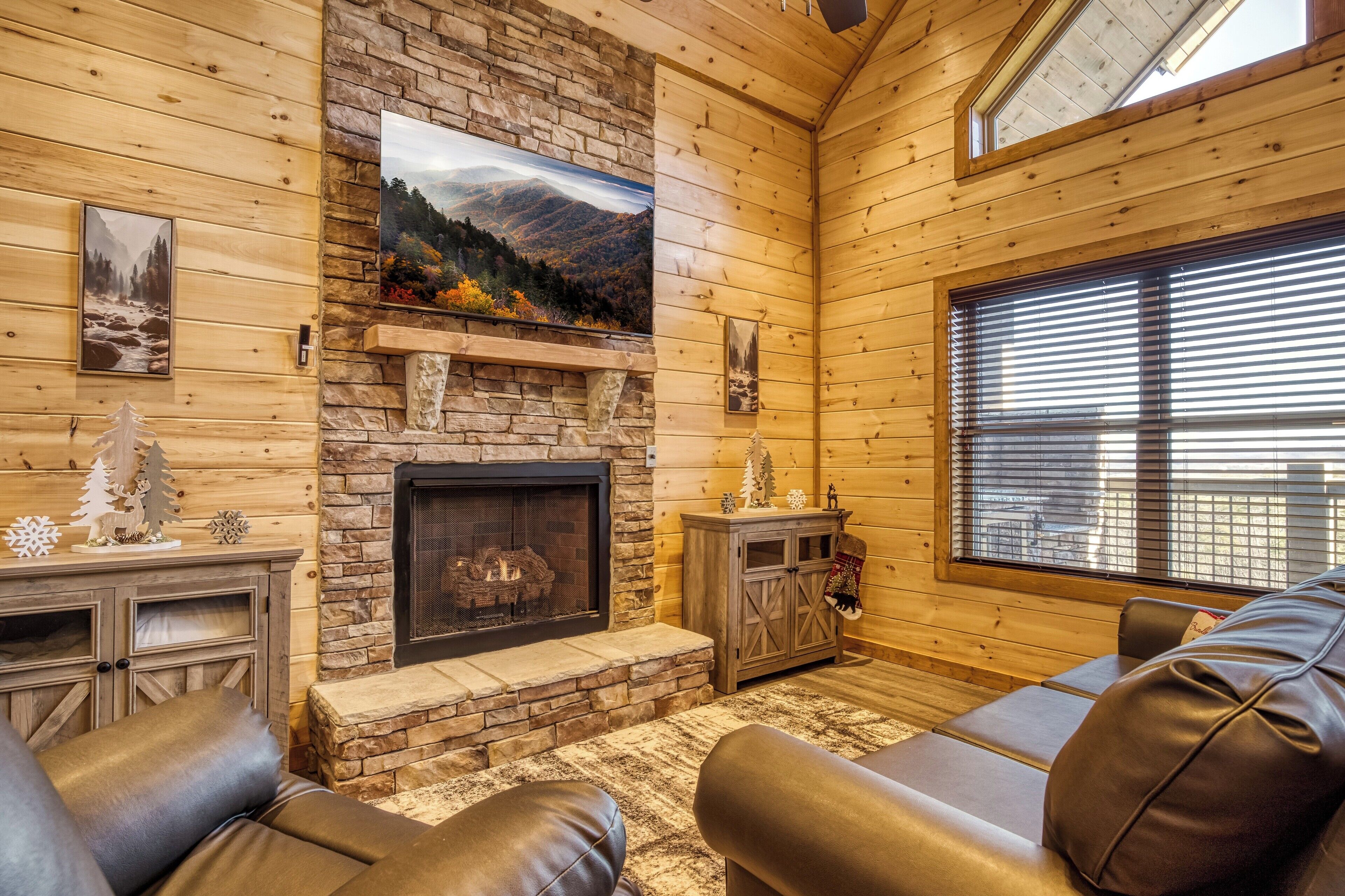 電視、壁爐、電子遊戲