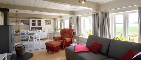 Télévision, cheminée, lecteur de DVD, chaîne hi-fi