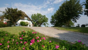 Landligt område med et hus, en grusvej og lyserøde blomster i forgrunden.