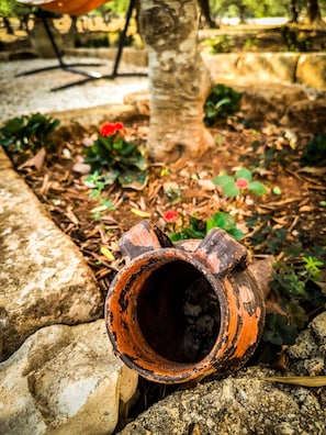 Un’ambientazione esterna rustica con un vaso di terracotta consumato, un albero e un’aiuola piena di piante.