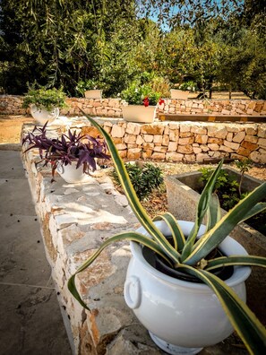 Un muro di pietra con piante in vaso, una panchina in pietra e un’area giardino con diverse piante e alberi.