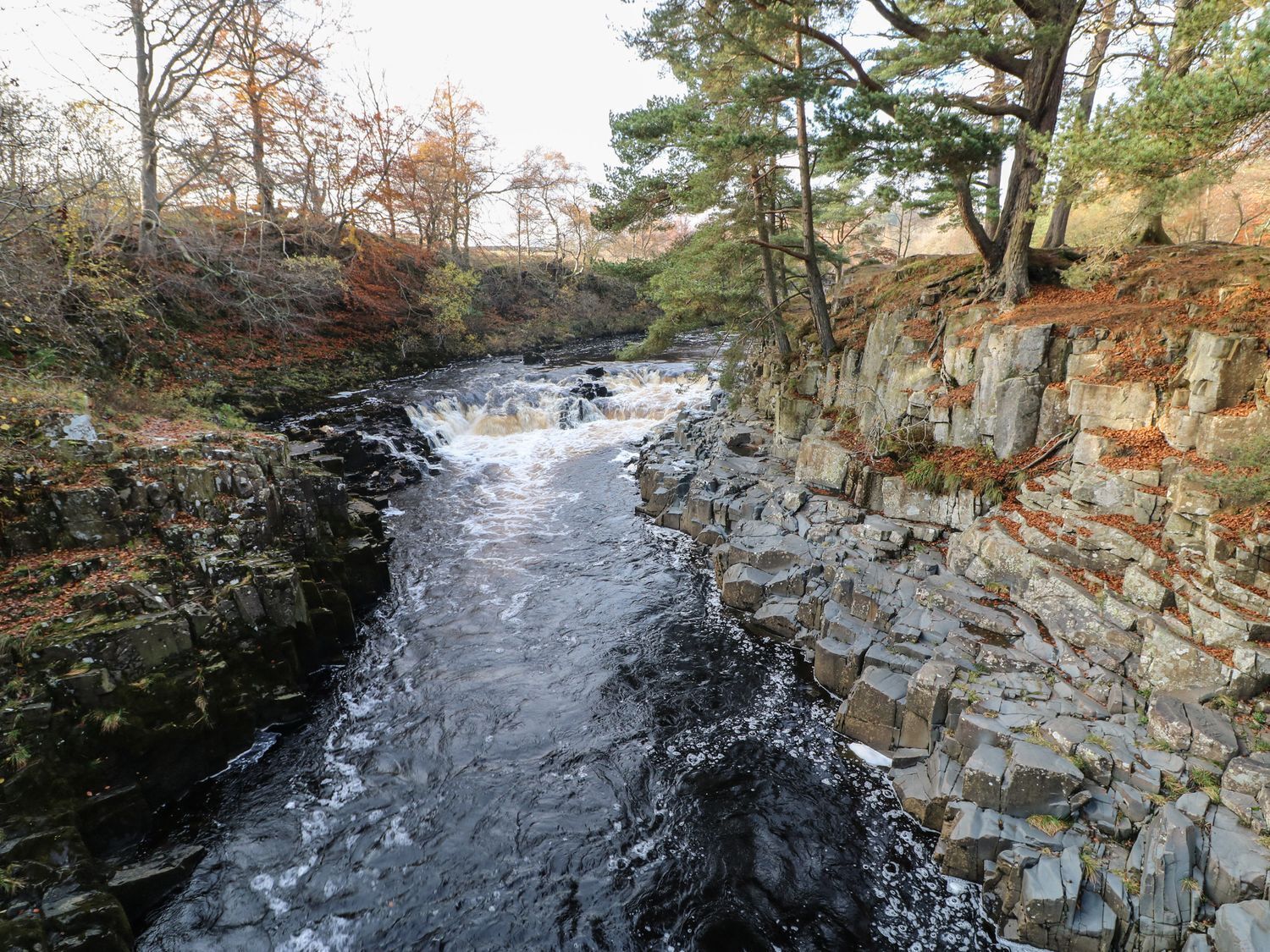 A rocky riverbed with water flowing through it, surrounded by trees and vegetation.