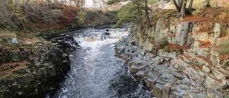A rocky riverbed with water flowing through it, surrounded by trees and vegetation.