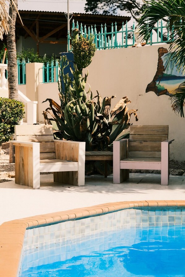 A poolside area with two wooden benches, a cactus plant, and a tiled pool.