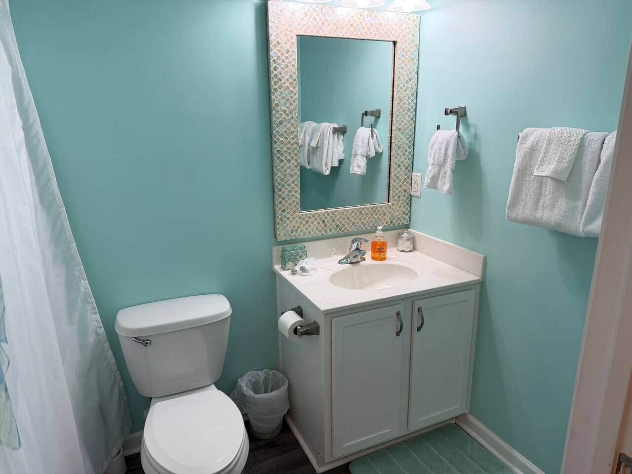 Hair dryer, towels, toilet paper