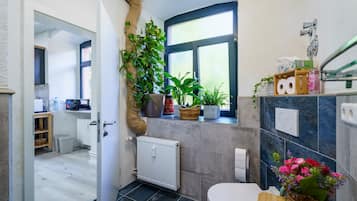 Shower, free toiletries, hair dryer, towels