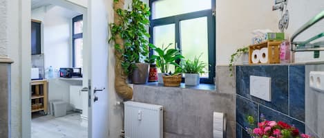 Shower, free toiletries, hair dryer, towels