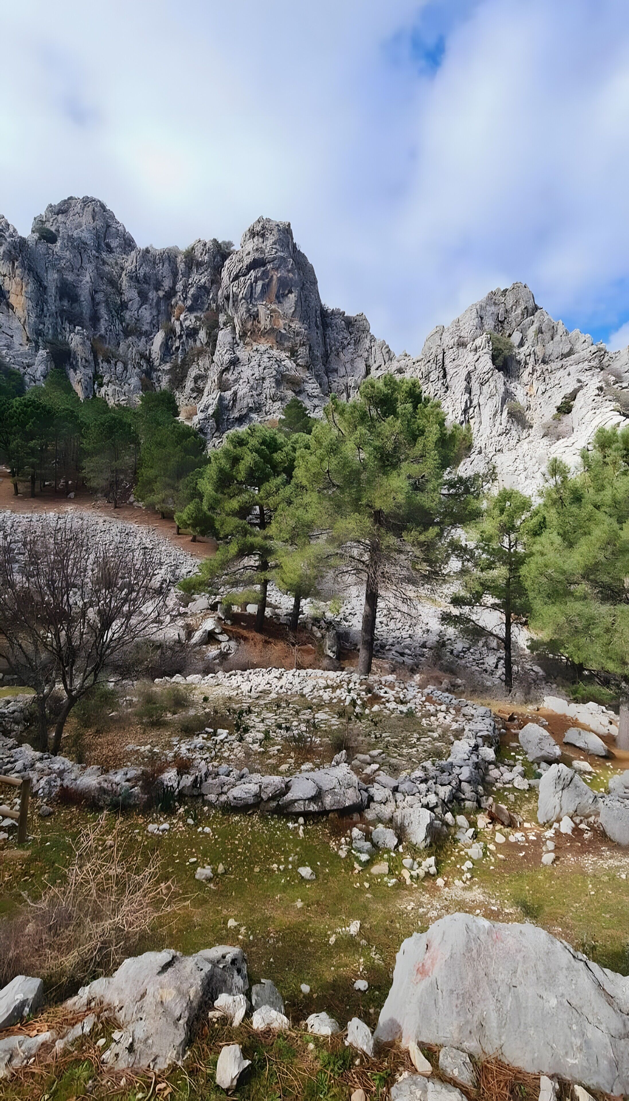 Un paisaje rocoso con árboles y una montaña al fondo.