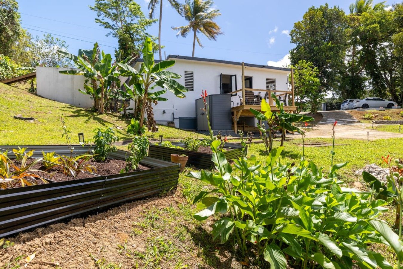 A residential property with a garden, a white building, and a parked car.