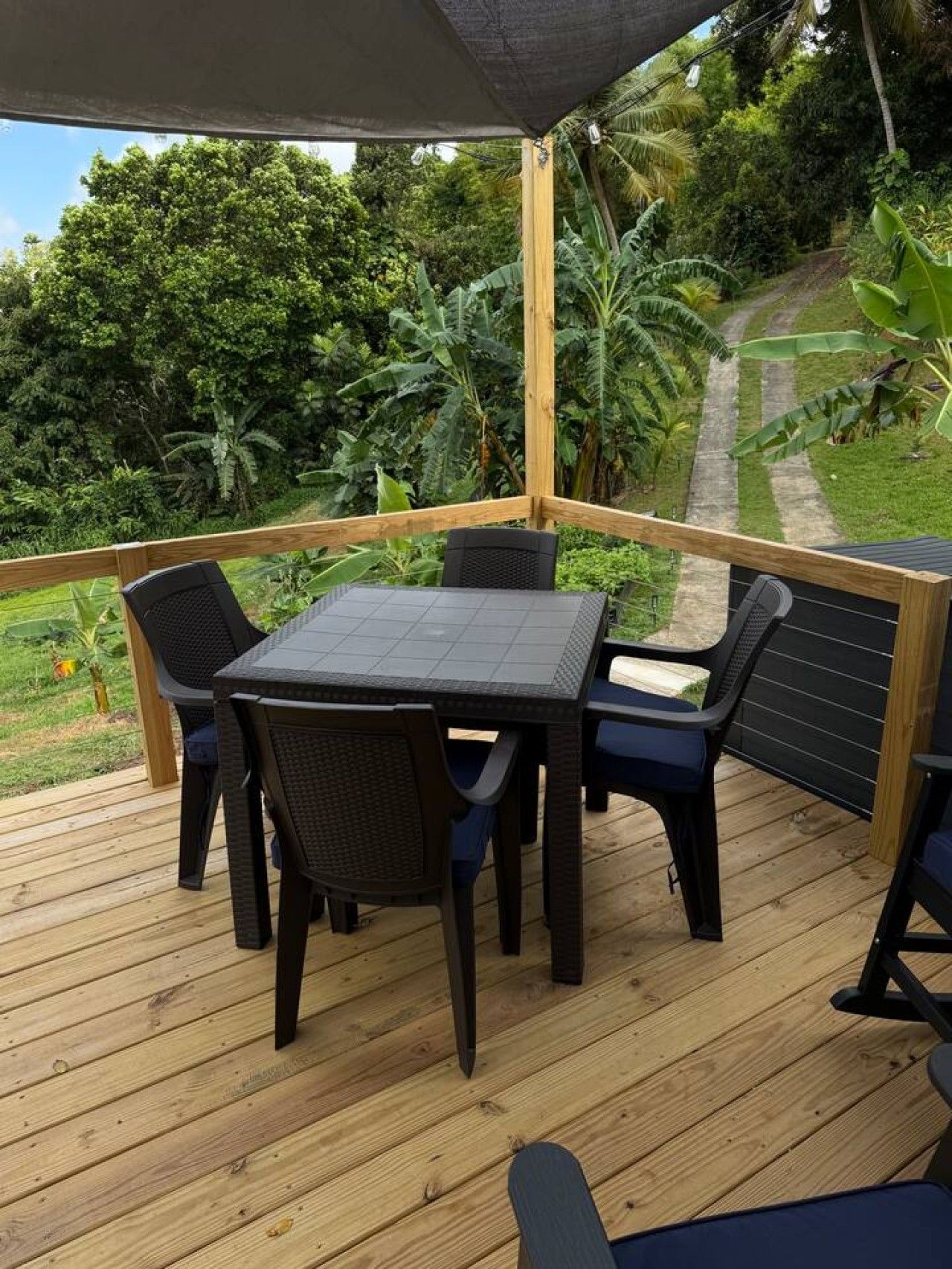 Una terraza de madera con una mesa y sillas, rodeada de abundante vegetación y un sendero.