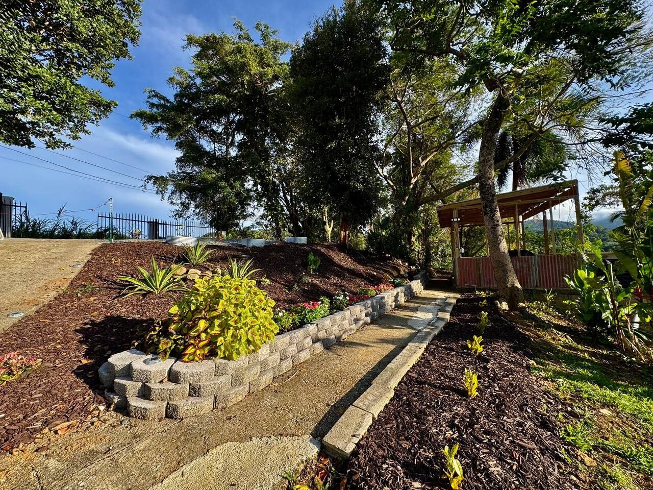Un jardín ajardinado con una pérgola de madera, un sendero de piedra y diversas plantas.