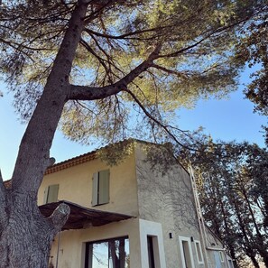 Exterior - Superb mas provençal with swimming pool in the Luberon (Lagnes)