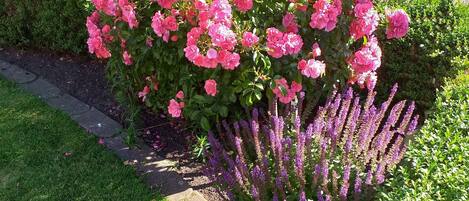 Overnattingsstedets uteområder