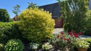 Um jardim com diversas plantas e uma casa ao fundo.