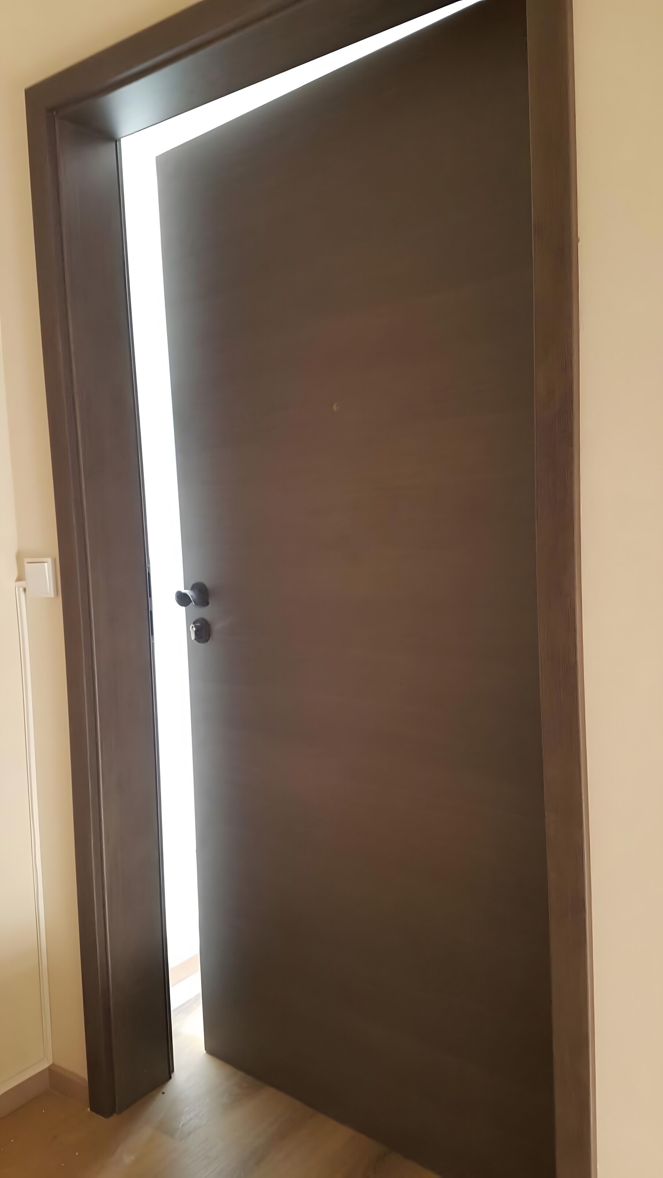 Eine geschlossene, dunkelholzige Tür mit Griff, Lichtschalter und Steckdose an der linken Wand.
