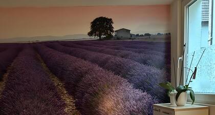 Apartment „Neue Erdgeschosswohnung im Zentrum“ mit gemeinsamer Terrasse & WLAN