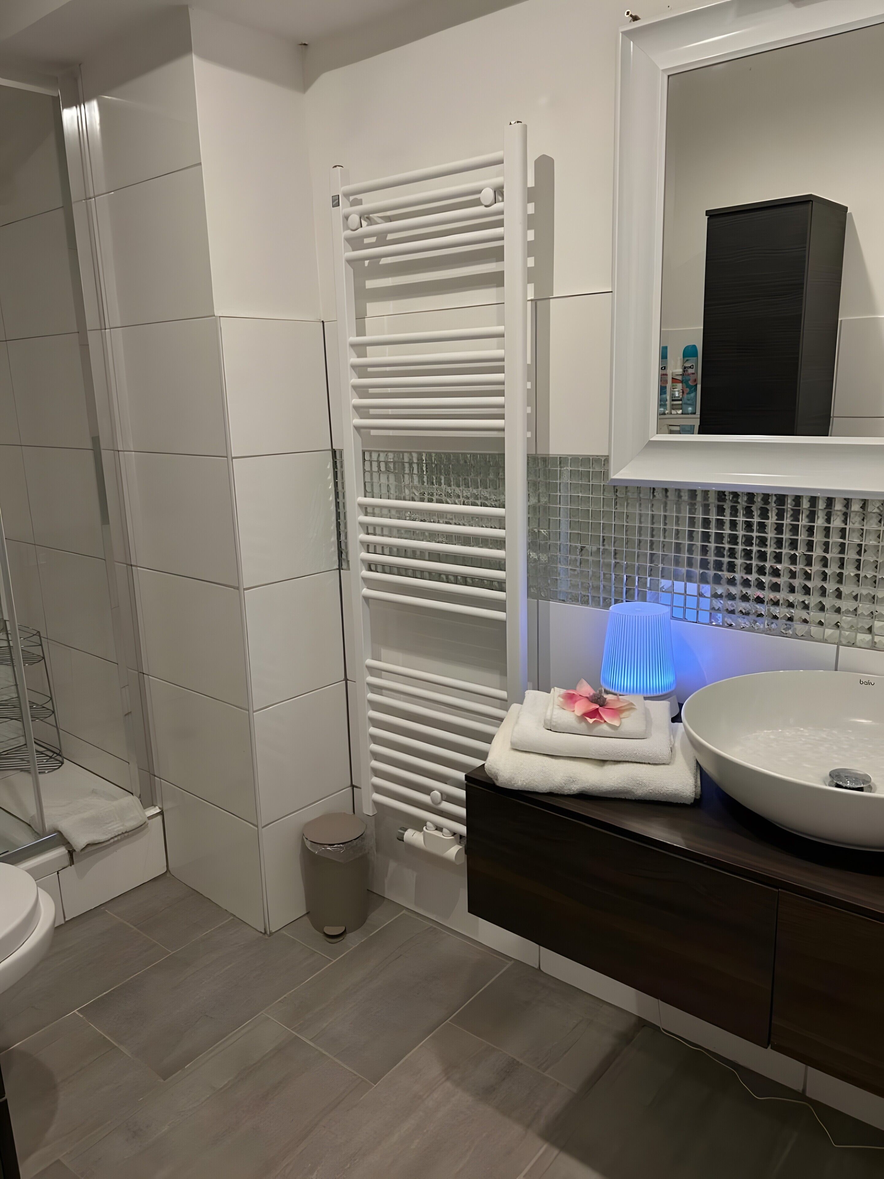 Shower, towels, toilet paper