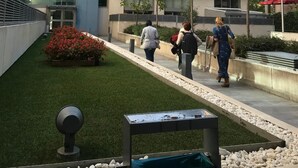 A modern building with multiple floors, large windows, and a landscaped courtyard with artificial grass and a small garden.