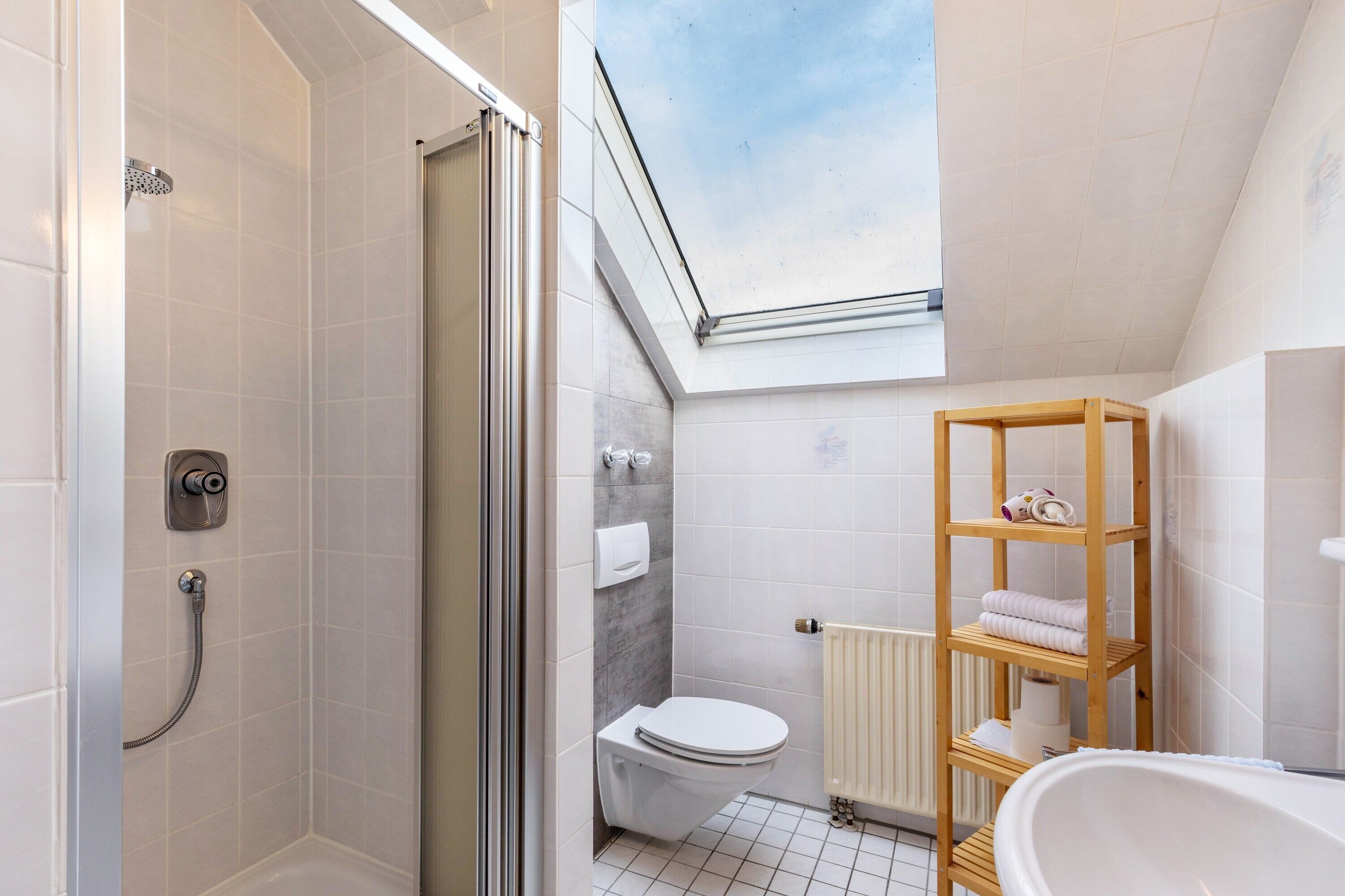 Shower, hair dryer, towels