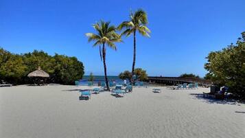 Una spiaggia nelle vicinanze